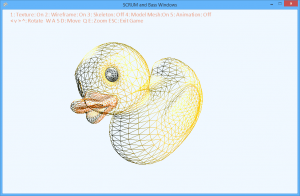 Wireframe of the duck model, an additional model used to test the importer.